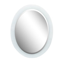Load image into Gallery viewer, 23 in. Oval Frosted Frame Mirror - 808301-M